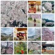 ヒメ日記 2026/04/05 19:14 投稿 みちる 熟女総本店 堺東店