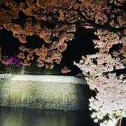 ヒメ日記 2026/04/11 15:55 投稿 みちる 熟女総本店 堺東店