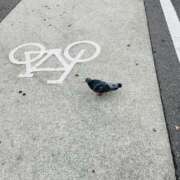 ヒメ日記 2026/04/21 19:56 投稿 みちる 熟女総本店 堺東店