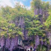 ヒメ日記 2026/04/25 18:57 投稿 みちる 熟女総本店 堺東店