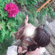 ヒメ日記 2026/05/30 07:31 投稿 あかり まじらぶ！