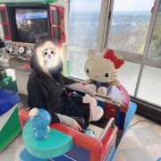 ヒメ日記 2026/03/16 07:10 投稿 とうか 吉原ファーストレディ