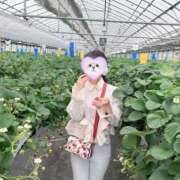 ヒメ日記 2026/03/26 21:17 投稿 とうか 吉原ファーストレディ