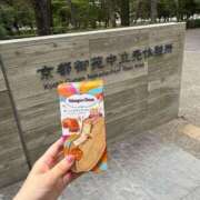 ヒメ日記 2026/06/14 18:06 投稿 とうか 吉原ファーストレディ