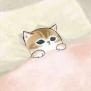 ヒメ日記 2026/02/04 16:13 投稿 みぃ コーチと私と、ビート板･･･