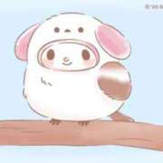 ヒメ日記 2026/03/11 12:33 投稿 みぃ コーチと私と、ビート板･･･