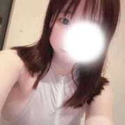 ヒメ日記 2026/04/09 12:28 投稿 みぃ コーチと私と、ビート板･･･