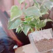 えな .*･ﾟ お疲れ様　.ﾟ･*. 玉乱☆痴（たまらんち）