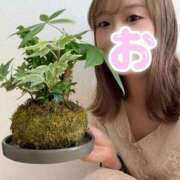 ヒメ日記 2026/08/14 08:55 投稿 おと 池袋デリヘル倶楽部