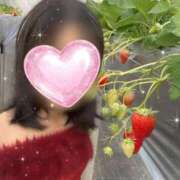 ヒメ日記 2026/02/09 15:45 投稿 板倉もみじ コウテイ