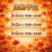 ヒメ日記 2026/02/26 20:45 投稿 板倉もみじ コウテイ