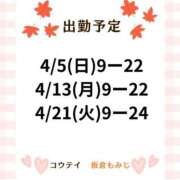ヒメ日記 2026/04/01 18:55 投稿 板倉もみじ コウテイ
