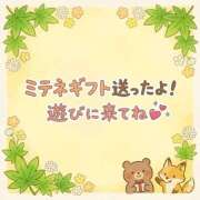 ヒメ日記 2026/05/08 13:53 投稿 板倉もみじ コウテイ
