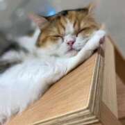 ヒメ日記 2026/02/22 01:23 投稿 まりな 白いぽっちゃりさん仙台店