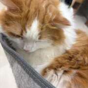 ヒメ日記 2026/03/07 11:08 投稿 まりな 白いぽっちゃりさん仙台店