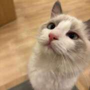 ヒメ日記 2026/06/04 10:28 投稿 まりな 白いぽっちゃりさん仙台店