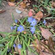 ヒメ日記 2026/04/06 10:39 投稿 水樹 ニューグランド