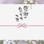 ヒメ日記 2026/02/28 20:44 投稿 熟女 さとみ ハナミズキ