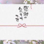 ヒメ日記 2026/03/07 15:18 投稿 熟女 さとみ ハナミズキ