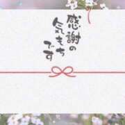 熟女 さとみ 21日のお礼です。 ハナミズキ