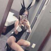 あげは どれがすき？ 西船人妻花壇