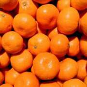 ヒメ日記 2026/02/03 18:11 投稿 みかん 舐めフェチの会