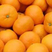 ヒメ日記 2026/02/16 18:25 投稿 みかん 舐めフェチの会