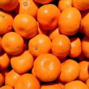 ヒメ日記 2026/03/16 21:22 投稿 みかん 舐めフェチの会