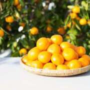 みかん みかんです🍊 舐めフェチの会