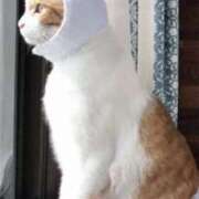 ヒメ日記 2026/02/23 00:01 投稿 あくび 熟女の風俗最終章 宇都宮店