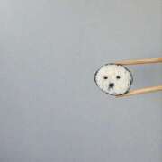 ヒメ日記 2026/08/09 21:30 投稿 ローラ 東京エステコレクション 新橋・銀座