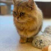 ヒメ日記 2026/02/15 17:57 投稿 みゆう 三つ乱本館