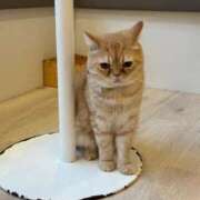 ヒメ日記 2026/02/23 17:56 投稿 みゆう 三つ乱本館