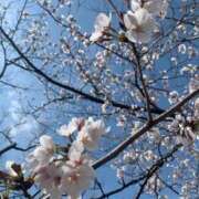 ヒメ日記 2026/04/02 16:37 投稿 みゆう 三つ乱本館