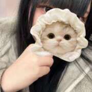 ヒメ日記 2026/01/31 23:17 投稿 みみ★純白Gカップの純真美少女 Chloe五反田本店　S級素人清楚系デリヘル