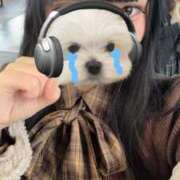 ヒメ日記 2026/02/06 17:25 投稿 みみ★純白Gカップの純真美少女 Chloe五反田本店　S級素人清楚系デリヘル