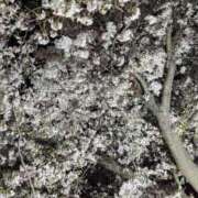 ヒメ日記 2026/04/14 15:45 投稿 あずさ 妻天 梅田店