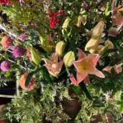 ヒメ日記 2026/02/06 23:46 投稿 花（ハナ） アバンチュール(五反田)