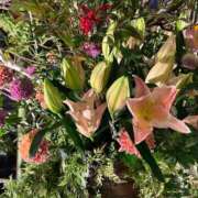 ヒメ日記 2026/02/27 18:01 投稿 花（ハナ） アバンチュール(五反田)