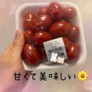 ヒメ日記 2026/03/05 21:46 投稿 花（ハナ） アバンチュール(五反田)