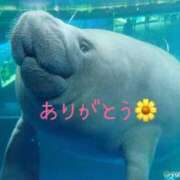 ヒメ日記 2026/03/25 21:46 投稿 花（ハナ） アバンチュール(五反田)