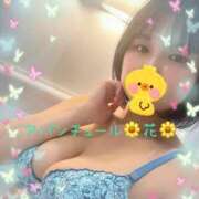 ヒメ日記 2026/03/27 18:31 投稿 花（ハナ） アバンチュール(五反田)