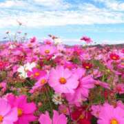 ヒメ日記 2026/03/28 11:16 投稿 花（ハナ） アバンチュール(五反田)