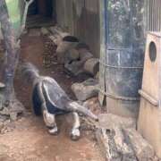 ヒメ日記 2026/03/28 19:46 投稿 花（ハナ） アバンチュール(五反田)