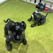 ヒメ日記 2026/04/10 23:16 投稿 花（ハナ） アバンチュール(五反田)