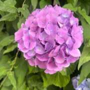 ヒメ日記 2026/06/09 19:31 投稿 花（ハナ） アバンチュール(五反田)