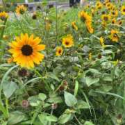 ヒメ日記 2026/08/28 18:16 投稿 花（ハナ） アバンチュール(五反田)