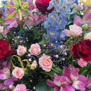 ヒメ日記 2026/09/12 15:31 投稿 花（ハナ） アバンチュール(五反田)