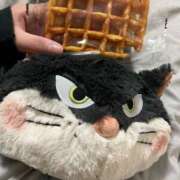 めぐ つぎ！ 池袋しろパラ