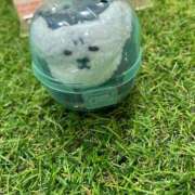 ヒメ日記 2026/03/07 20:52 投稿 めぐ 池袋しろパラ